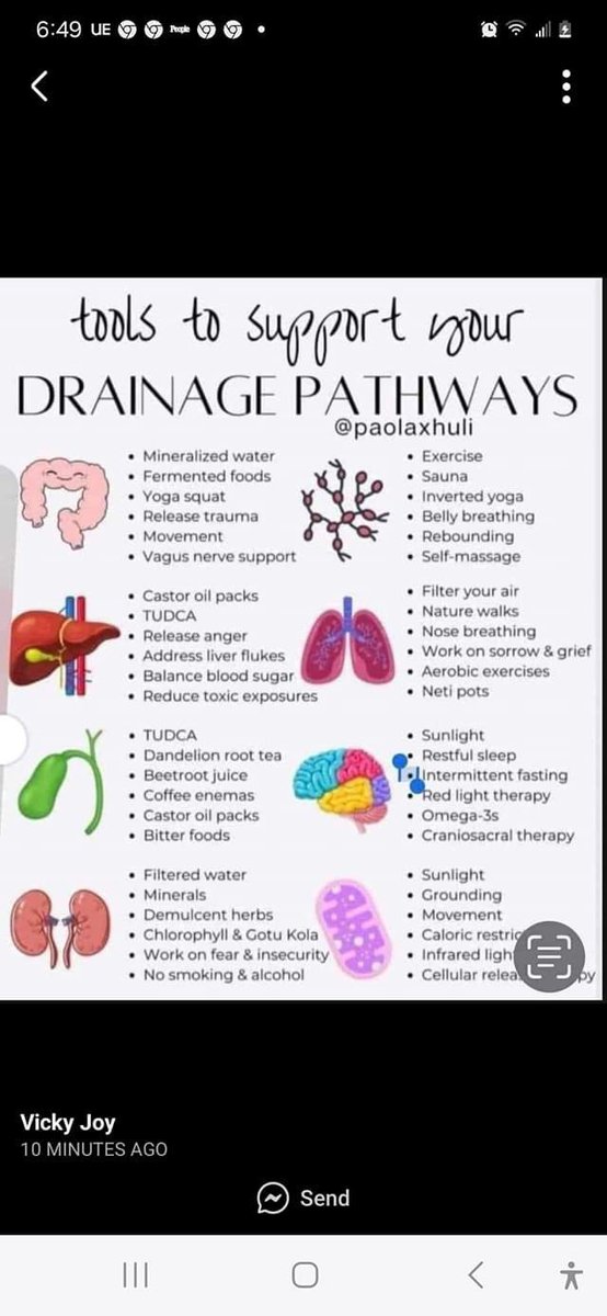 stuffmajor's tweet photo. It’s super important to keep all the toxins that we are being flooded with moving out of our bodies. https://t.co/apsBq47gZh