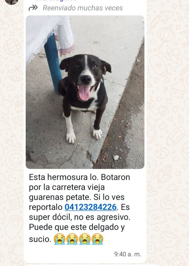 Se busca, lo botaron por la carretera vieja Petare Guarenas