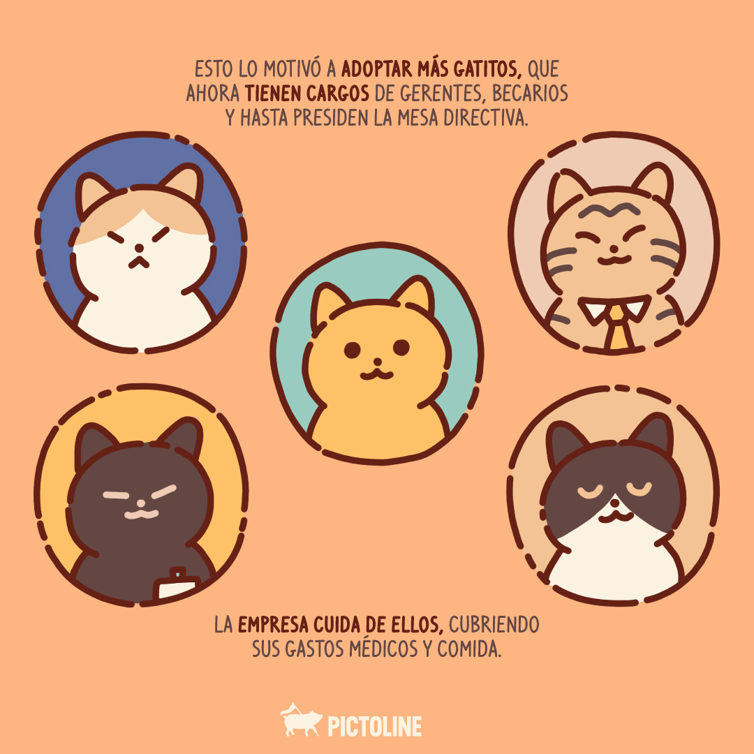 pictoline's tweet photo. 🐱 Gatitos en el trabajo = excelente ambiente laboral 💼✨

#Michilovers #BossCatVibes #GatosJefes #HumorDeOficina #MiauManager #GatitosGerentes #Pictoline https://t.co/z5TPvPZXIe
