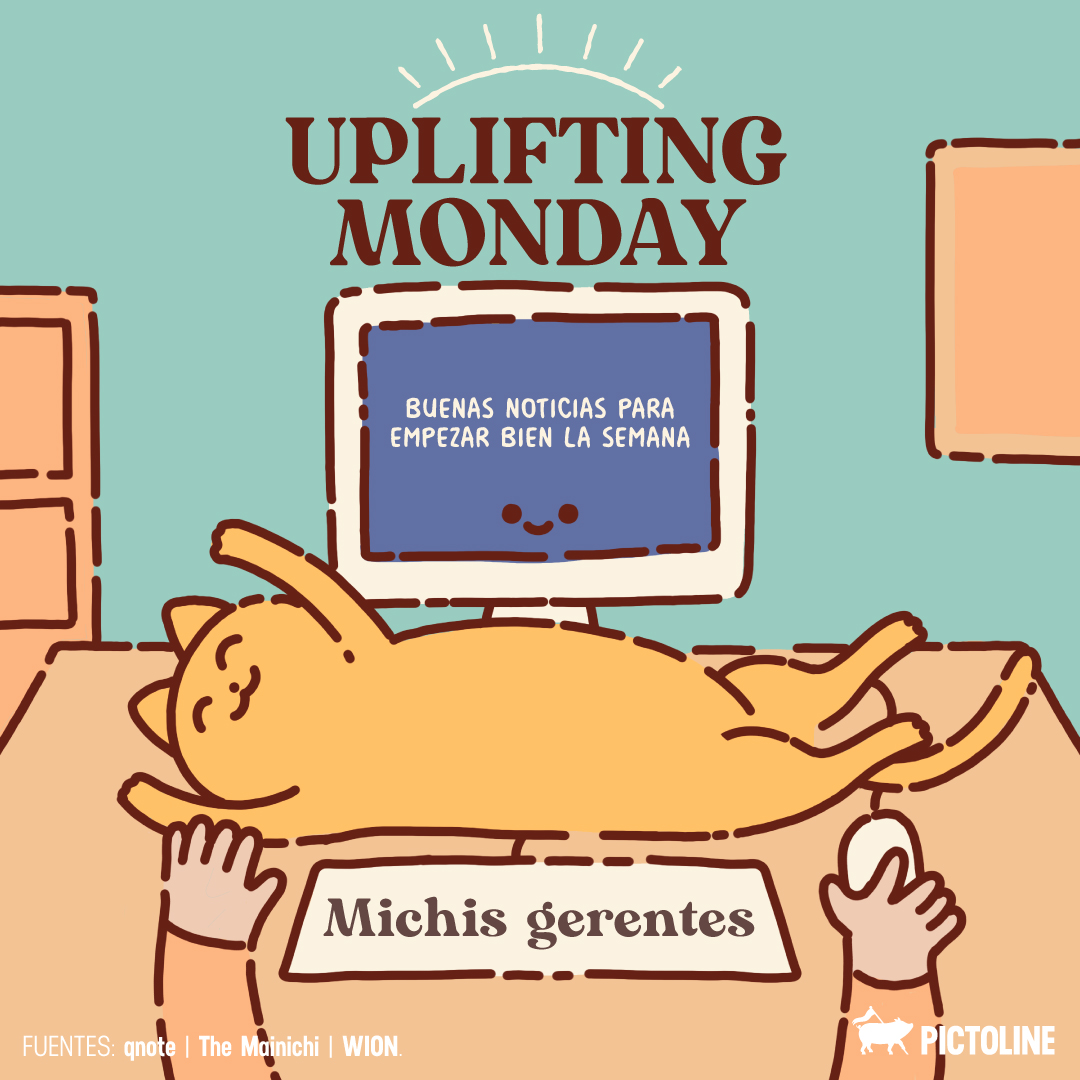 pictoline's tweet photo. 🐱 Gatitos en el trabajo = excelente ambiente laboral 💼✨

#Michilovers #BossCatVibes #GatosJefes #HumorDeOficina #MiauManager #GatitosGerentes #Pictoline https://t.co/z5TPvPZXIe