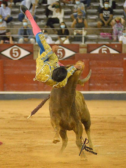 "Nadie torea para morir. Pero a veces se nos olvida que esto es de verdad y que cada tarde la vida se enfrenta con la muerte"
