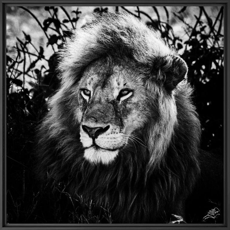 Do not only trust what you see or what you might know 
#FreeYourMind
Credits <a href="/laurentbaheux/">Laurent Baheux Photo</a>