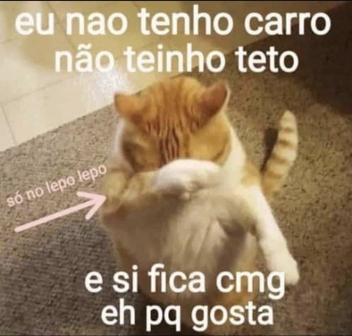 Shitpost só que de verdade (@shitpostverdade) on Twitter photo 