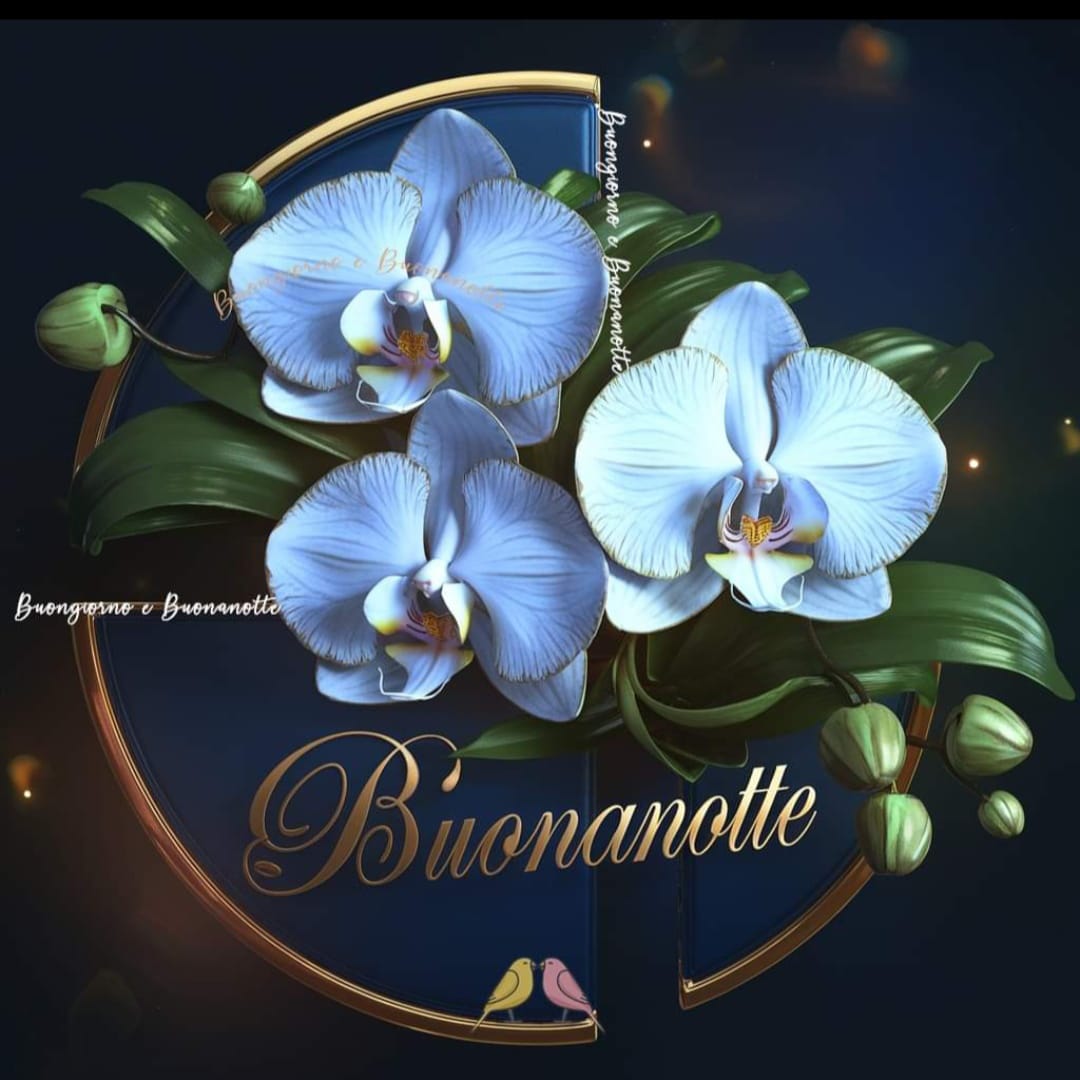 Marianna tweet media