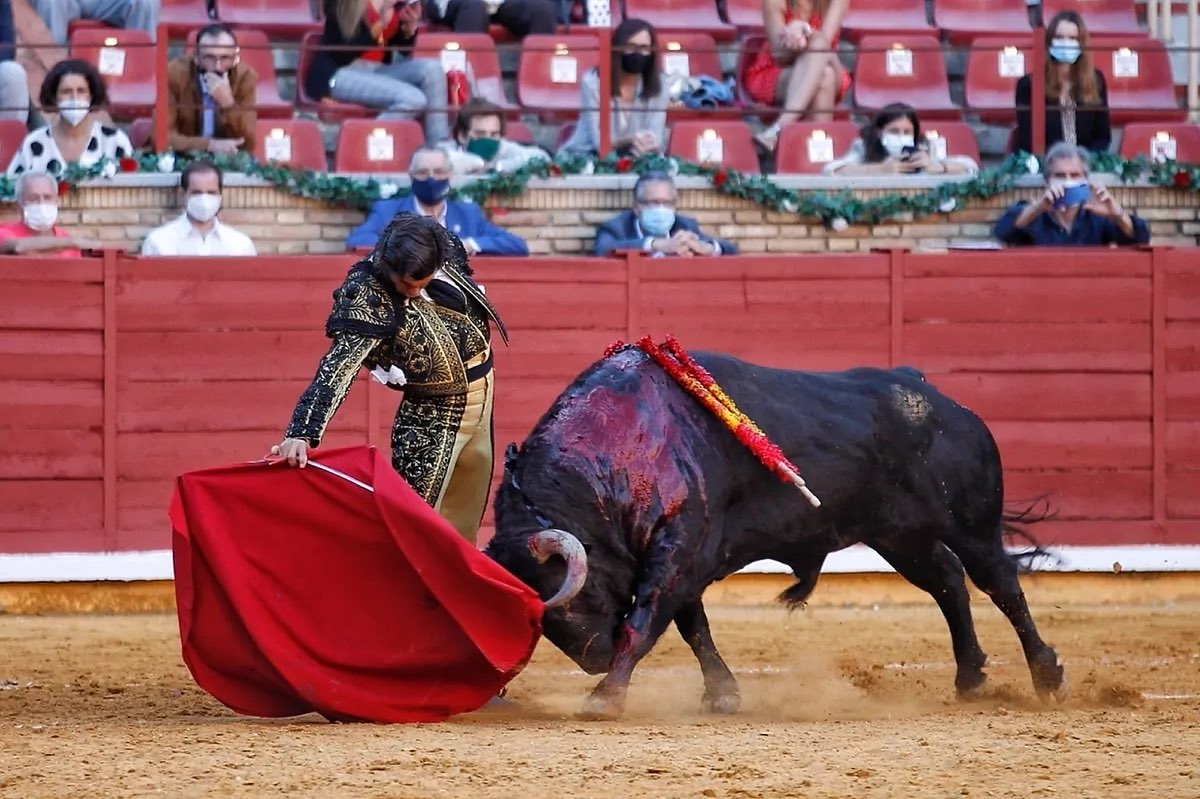 Necesitamos 500.000 firmas para derogar la ley que blinda la tauromaquia en España. 

#FirmaNoEsMiCultura.

Ayúdanos difundiendo este enlace 👉 noesmicultura.org/firma ¡RT!
<a href="/NoEsMiCultura/">NoEsMiCultura</a>