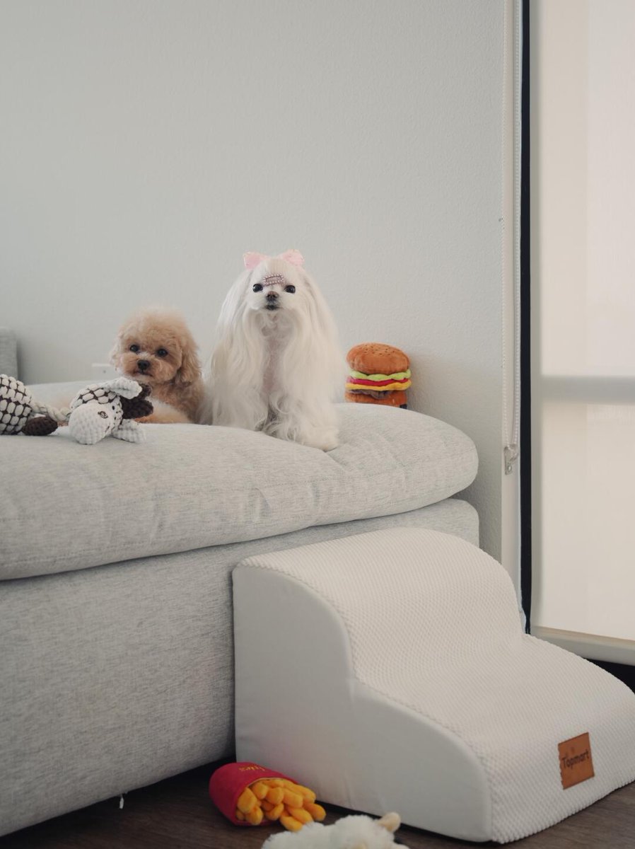 L___theused's tweet photo. Do families with small dogs buy this? ||| It's the small staircase for dogs in the picture. My dog ​​has been using it since he was young. He can easily get on the bed and sofa. Otherwise, he will always jump around.. There will be problems with his patella. 
#WhiteDog #DogBed https://t.co/150vzEDw0W