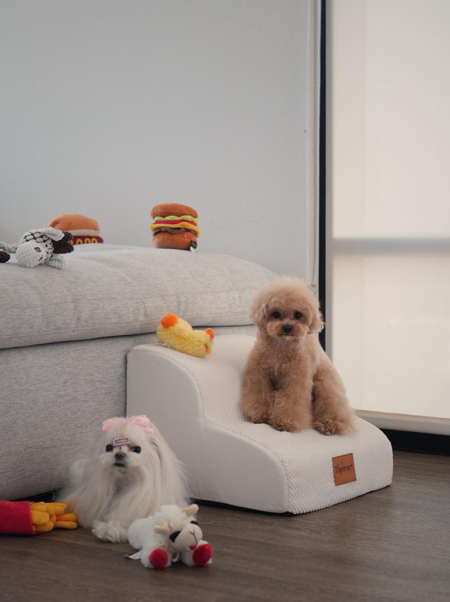 L___theused's tweet photo. Do families with small dogs buy this? ||| It's the small staircase for dogs in the picture. My dog ​​has been using it since he was young. He can easily get on the bed and sofa. Otherwise, he will always jump around.. There will be problems with his patella. 
#WhiteDog #DogBed https://t.co/150vzEDw0W