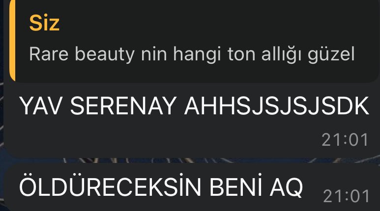 serenaytmkya's tweet photo. Kıyamet koparken ben https://t.co/sPJQPI94w1