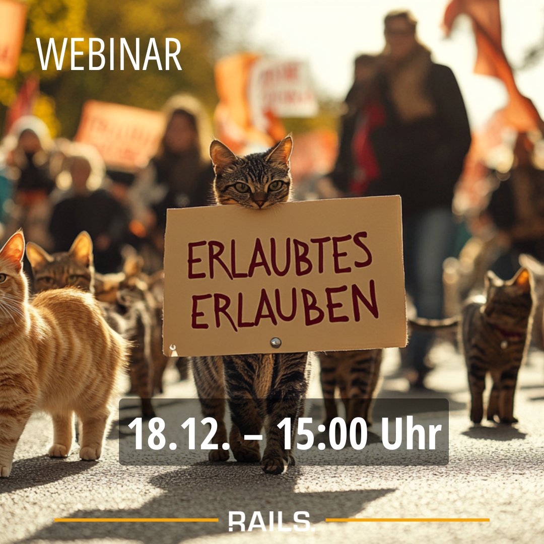 Robotics & AI Law Society (RAILS) tweet media