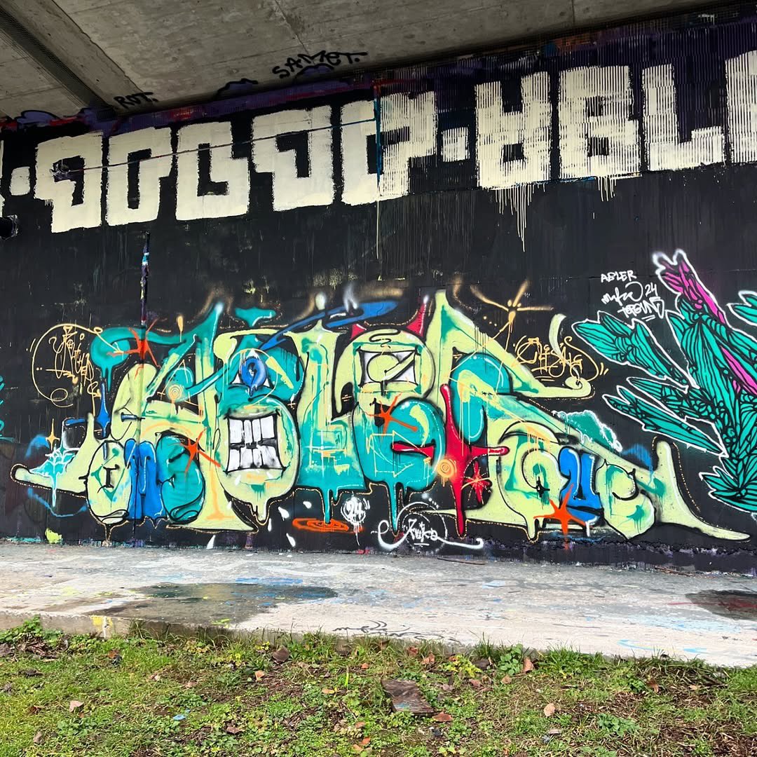 streetart_cz's tweet photo. ABLER’s 33 BDAY Graffiti Jam
Check out my IG / FB / Threads for more pics 🙌🏻
📸 11.12.2024.
📍 Praha, Barrandovský legál
#streetartpraha #streetart #graffiti #streetartczechia #abler https://t.co/VNivfrOeE6