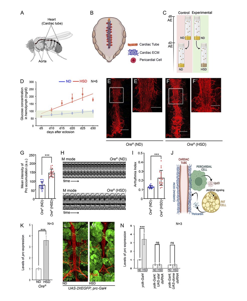 Journal of Cell Biology tweet media