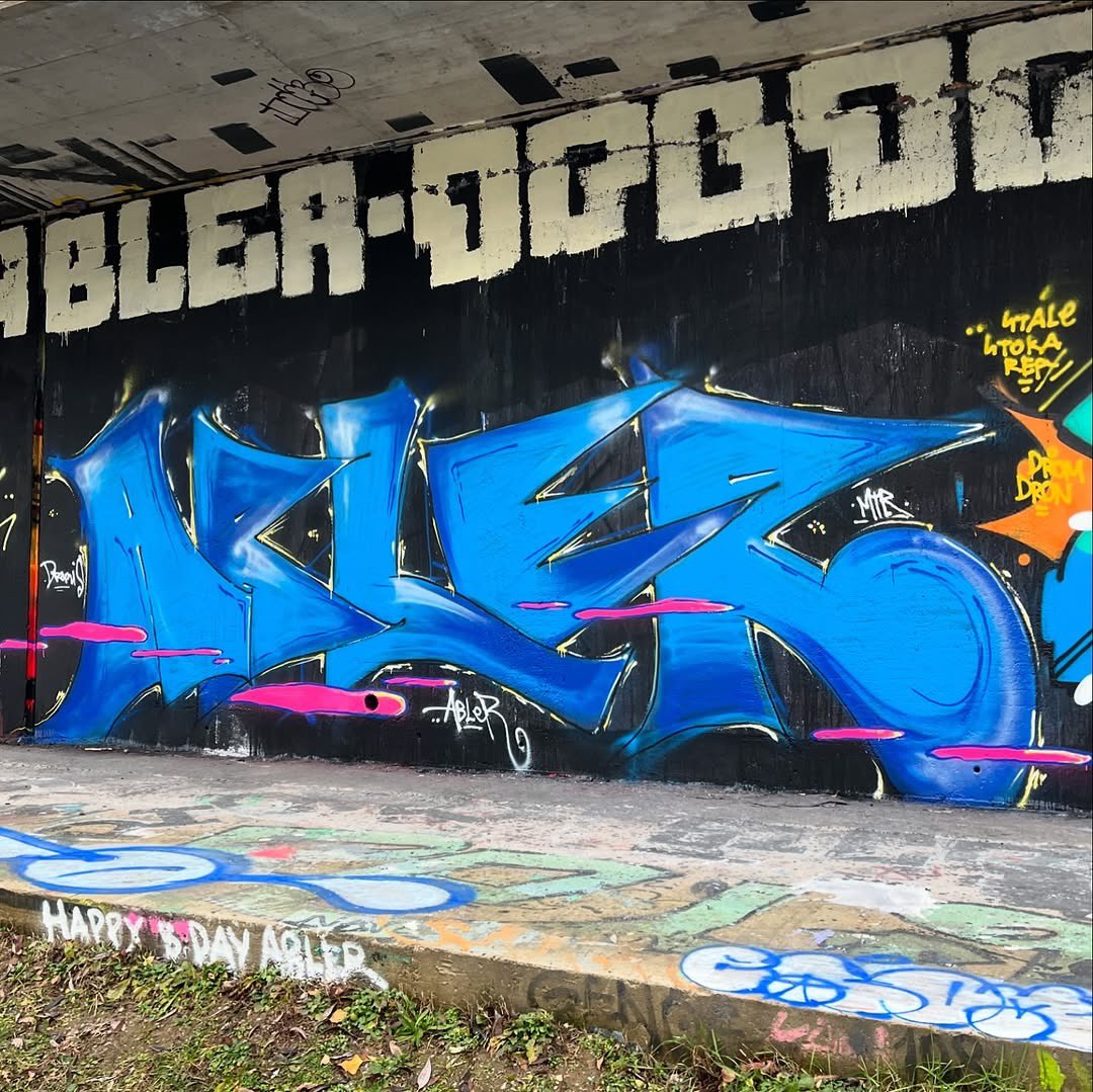 StreetArt_Praha's tweet photo. ABLER’s 33 BDAY Graffiti Jam
Check out my IG / FB / Threads for more pics 🙌🏻
📸 11.12.2024.
📍 Praha, Barrandovský legál
#streetartpraha #streetart #graffiti #streetartczechia #abler https://t.co/iUbWwReczF