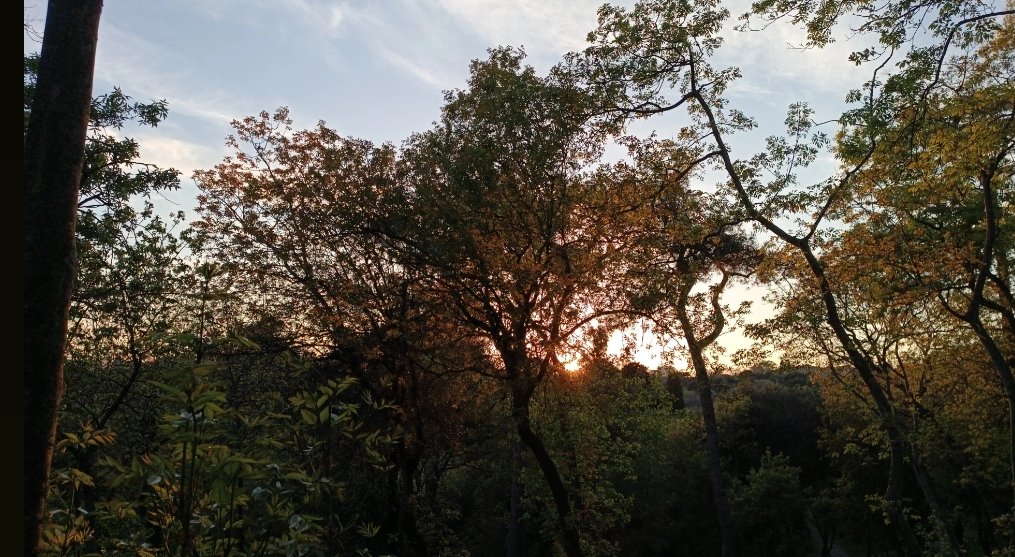 n (@rmviac) on Twitter photo 