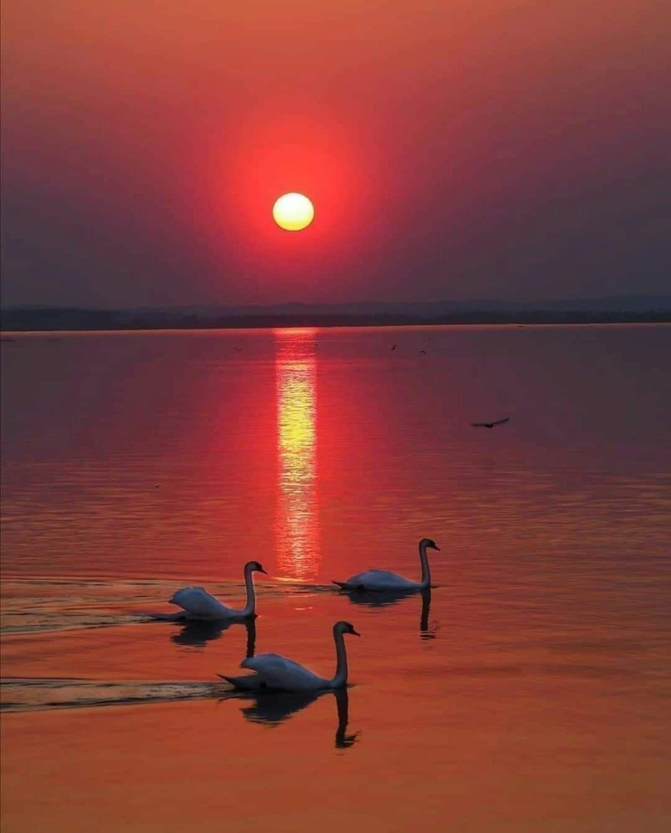 Sweet &amp; peaceful night,
with a warm embrace &amp;
hopes for a bright &amp; beautiful 
tomorrow.

——Goodnight✨