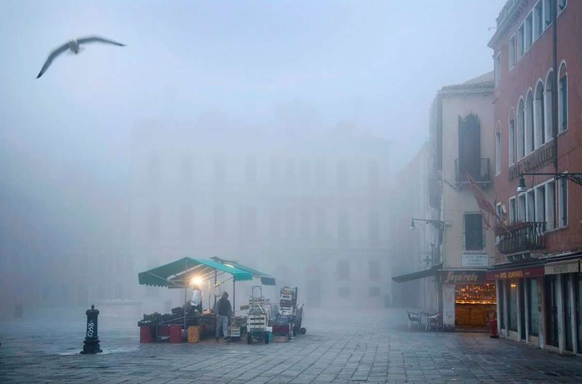 mariatontini1's tweet image. .

All truly great thoughts are conceived while walking 

.

✍🏻Friedrich Nietzsche
📚Twilight of the Idols
Venice, Italy
©️Cristophe Jacrot