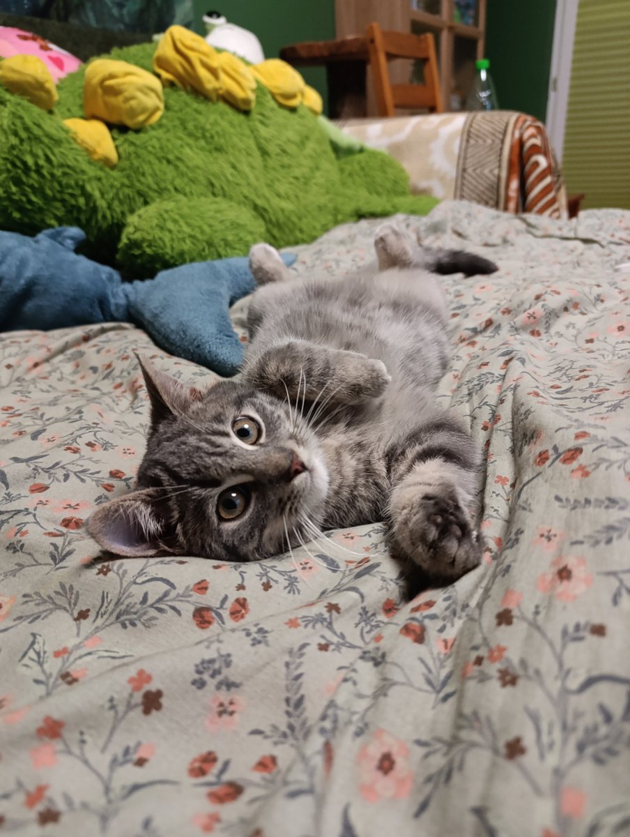 Nesh𓆏 tweet media