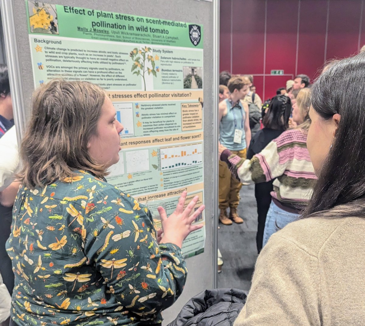Molly Moseley <a href="/EntomologyMolly/">Molly Moseley 🐝</a> presents work from her MBiolSci <a href="/PPS_UoS/">Plants, Photosynthesis and Soil</a> and the <a href="/ScienceShef/">Science at Sheffield</a> SURE scheme at #BES2024. (w/ <a href="/upzitupzi/">Upuli Wickramaarachchi</a>!). More pollinator #chemicalecology to come as Molly is staying on in the lab for a PhD, funded by <a href="/susfoodshef/">Institute for Sustainable Food</a> and <a href="/granthamcsf/">Grantham Centre</a>. 🌸🪻🐝