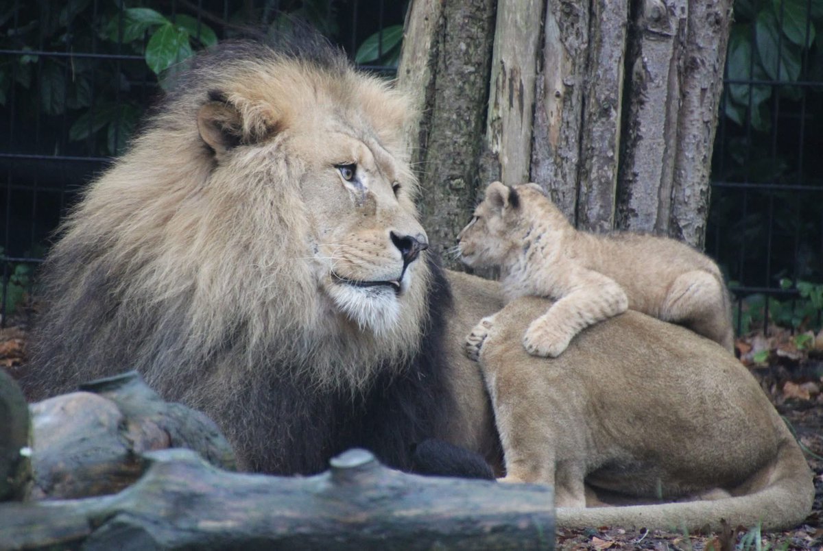 Marnix Bruinzeel tweet media