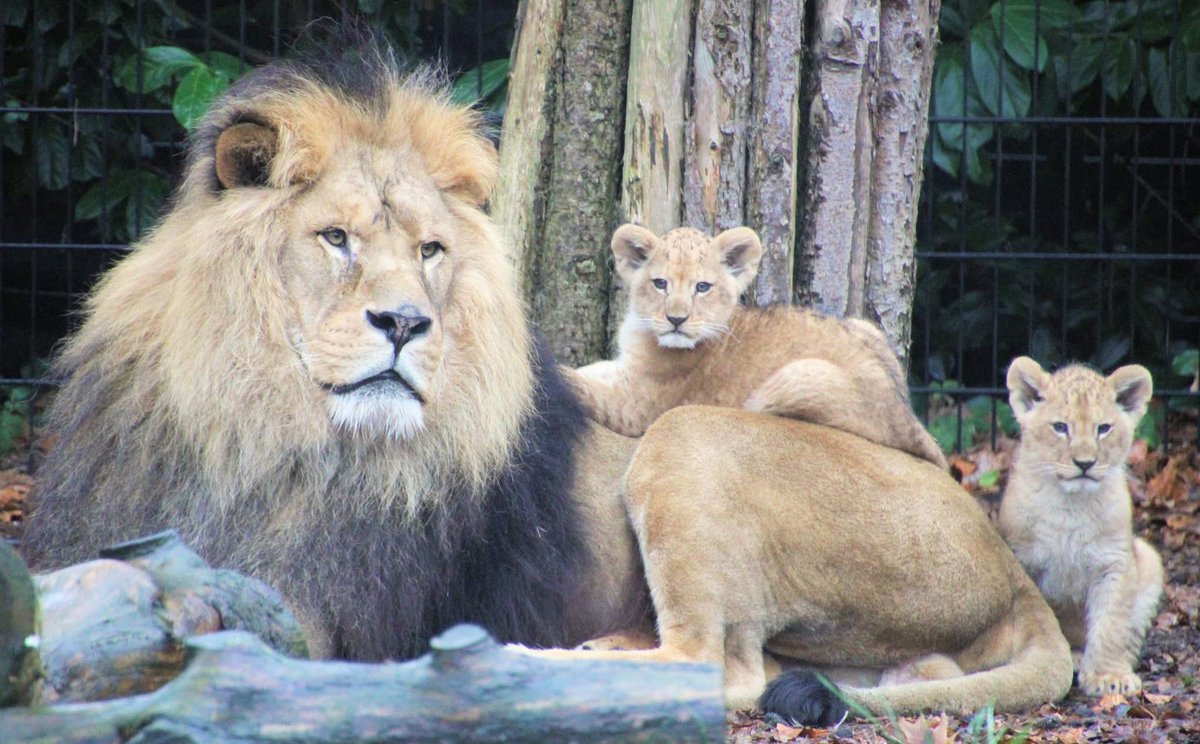 Marnix Bruinzeel tweet media