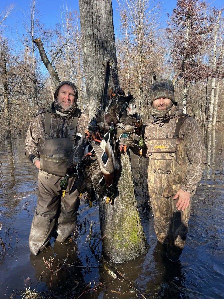 Robert Brandt tweet media