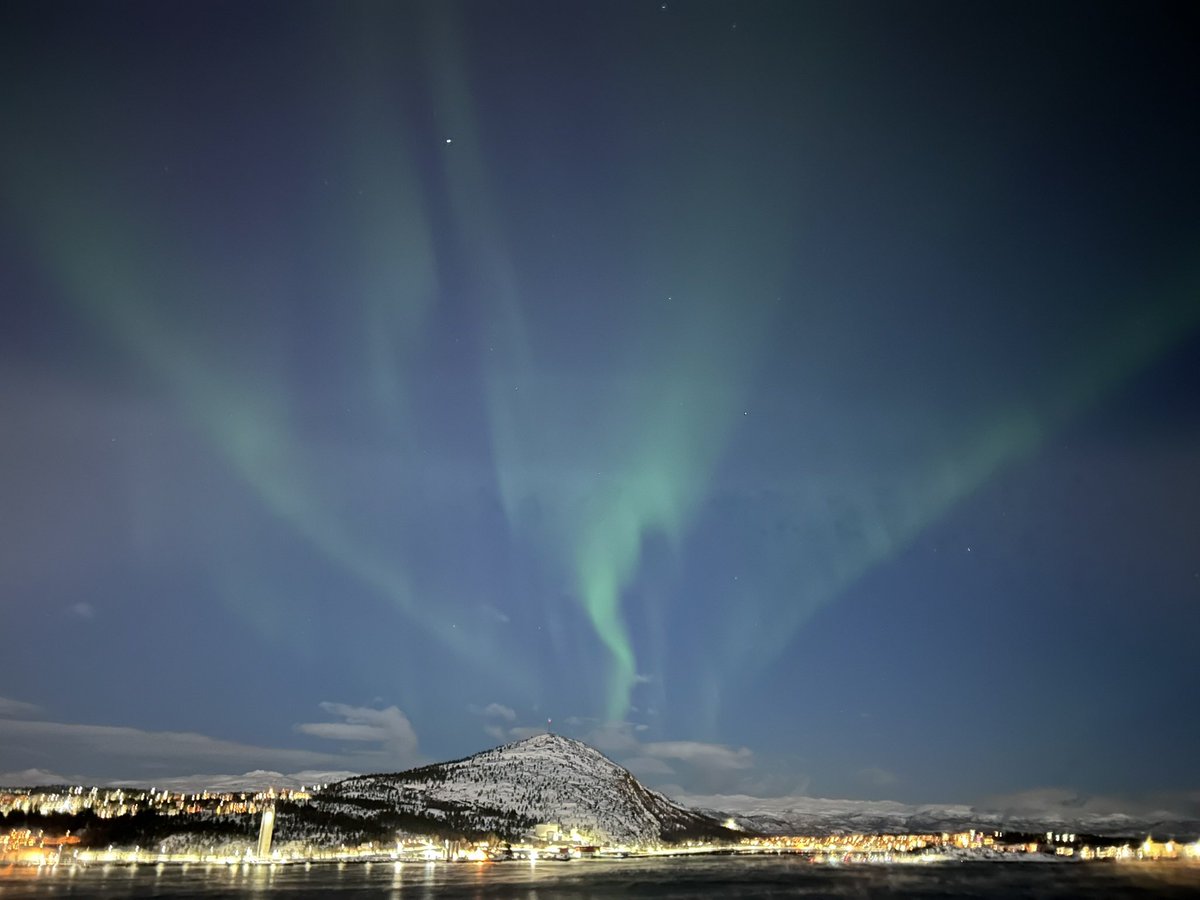 Aᴅᴀᴍ Dᴀᴠʏ tweet media