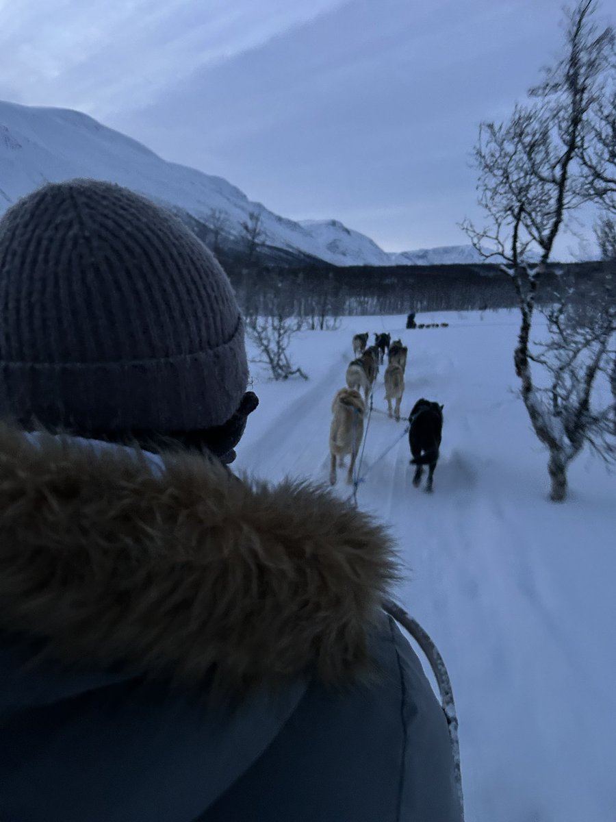 Aᴅᴀᴍ Dᴀᴠʏ tweet media