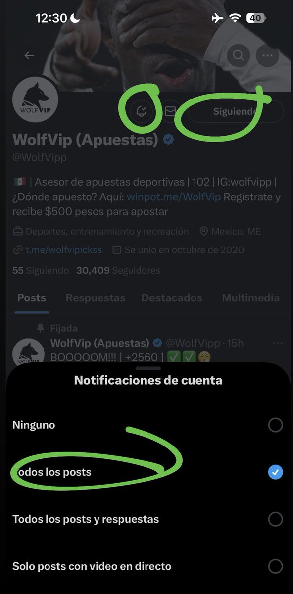 WolfVipp's tweet photo. 🤠 SE VAN 10 TRANSFERENCIAS ENTRE MIS SEGUIDORES, Y PURA GENTE QUE TENGA LAS NOTIFICACIONES ACTIVADAS. 

TAMBIEN ES REQUISITO DEJAR TU LIKE &amp; RT ❤️🔁

DEJA TU FOTO EN LOS COMENTARIOS. EJ: https://t.co/mdPgcCCzW7