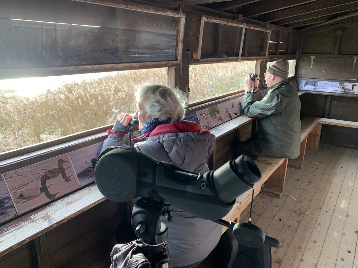 Mboyd7Boyd's tweet photo. Festive birding session with my course @YCNature this am @tophilllow @YorkshireWater Black throated diver star of the show but what a place to get to grips with wildfowl! Book now for my spring course https://t.co/ugfTr6QFUP https://t.co/gn8XQWN82t