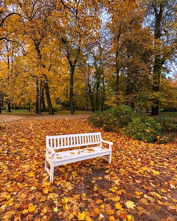 aytugbayer's tweet photo. Varşova Lazienki Park’ta sonbahar 🍂 https://t.co/IeaDdlm9HH