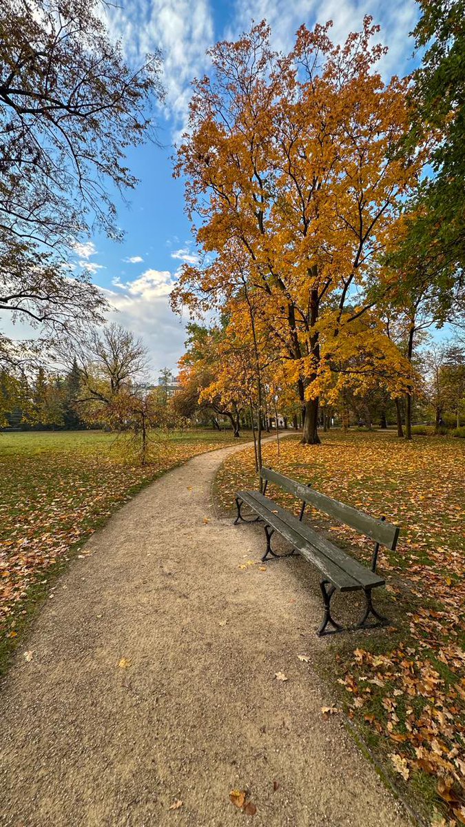 aytugbayer's tweet photo. Varşova Lazienki Park’ta sonbahar 🍂 https://t.co/IeaDdlm9HH