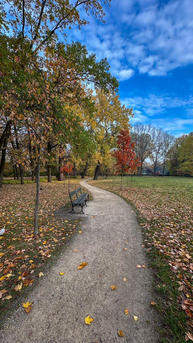 aytugbayer's tweet photo. Varşova Lazienki Park’ta sonbahar 🍂 https://t.co/IeaDdlm9HH