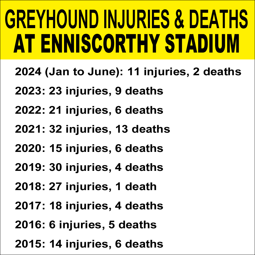 banbloodsports's tweet image. Dogs suffer and die at #Enniscorthy greyhound stadium. 197 greyhounds suffered injuries there and 56 died or were killed by a track vet over the past 10 years alone banbloodsports.wordpress.com/2019/03/19/gre… #Ireland #AnimalCruelty Don't go greyhound racing