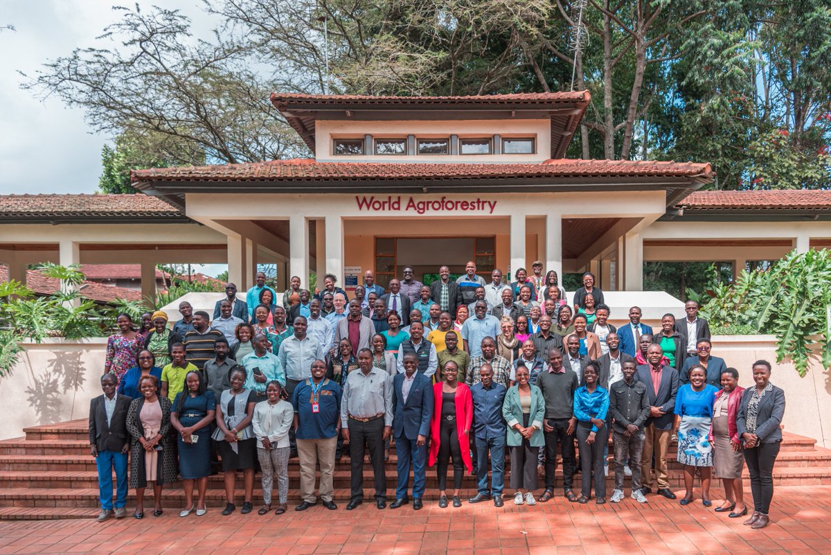 Beatrice Adoyo tweet media