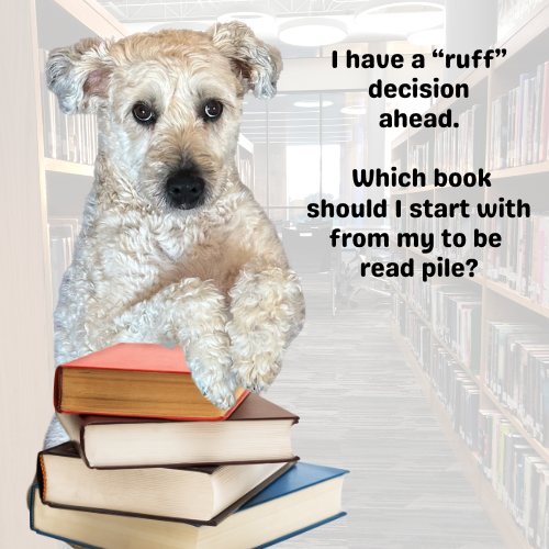 Decisions, decisions! 📚
Can you guess which SHS staffer this pup belongs to? 🤔🐾