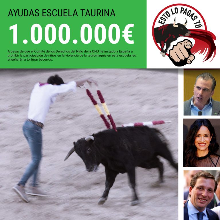 evaroigcer's tweet photo. Hoy podemos decidir qué tipo de cultura queremos dejar a las próximas generaciones. Firma para abolir las corridas de toros: https://t.co/PVAxjAJiGG #FirmaNoEsMiCultura https://t.co/i96iYivGoc