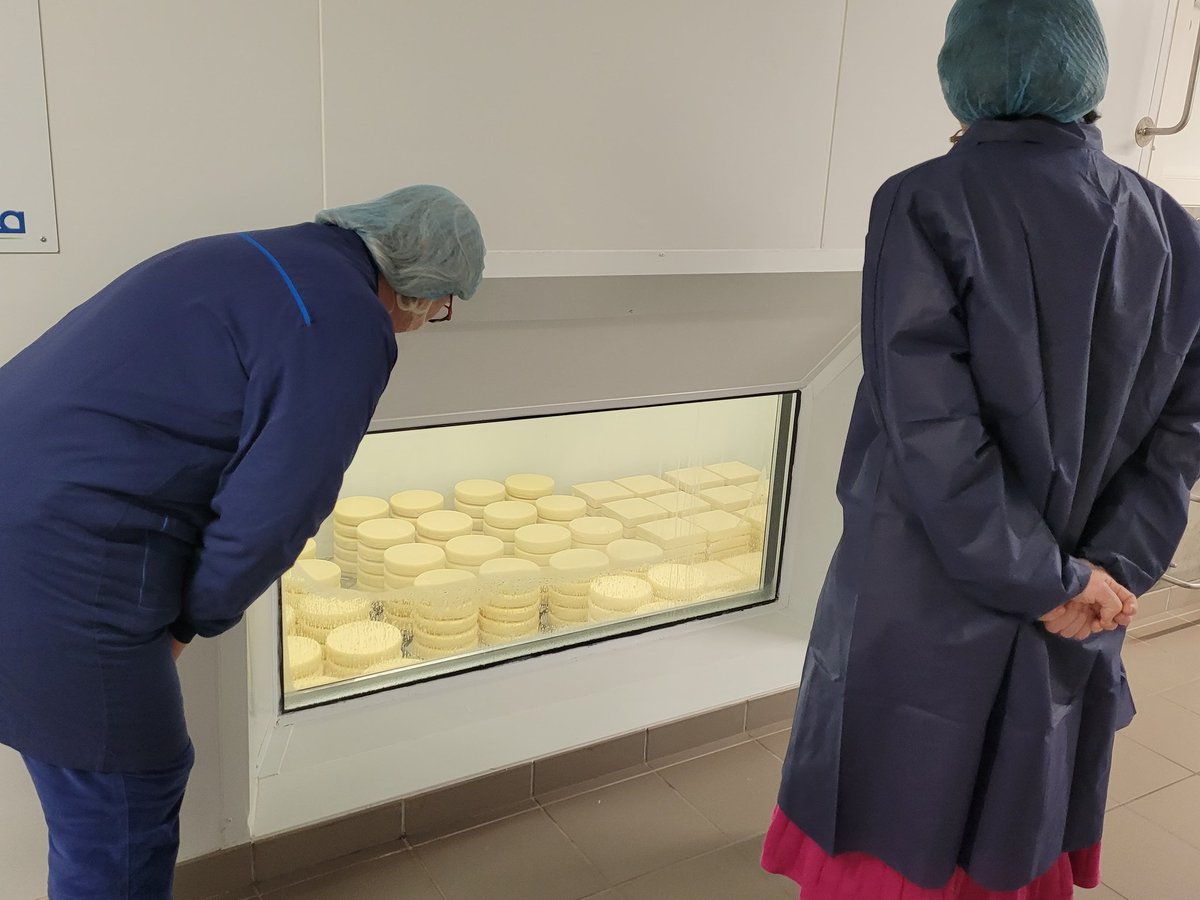 Mel_Thomin's tweet photo. 🧀 Visite du siège du groupe Even et de l’usine Laïta à #Ploudaniel
👨🌾 🐄 👩🌾 Coopérative de plus de 1000 adhérents dans le #Finistère et les Côtes-d’Armor, nous avons échangé sur l’importance du modèle coopératif dans l’industrie agroalimentaire et dans le secteur laitier 🥛 https://t.co/3SzycTRDL3