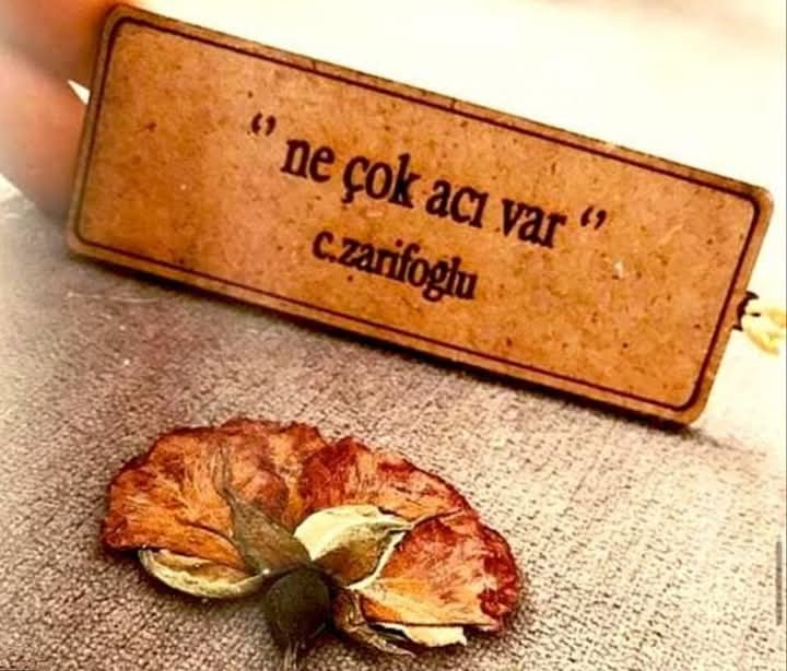 Ve yüreğim hüzne boğulurken bir ayet sarıyor yaralarımı.
Susuyor yüreğim bir yudum inşirahla..
~~~~
Ve Li Rabbike Fasbir  ♡
             ~~~~Rabbin için sabret  ❥