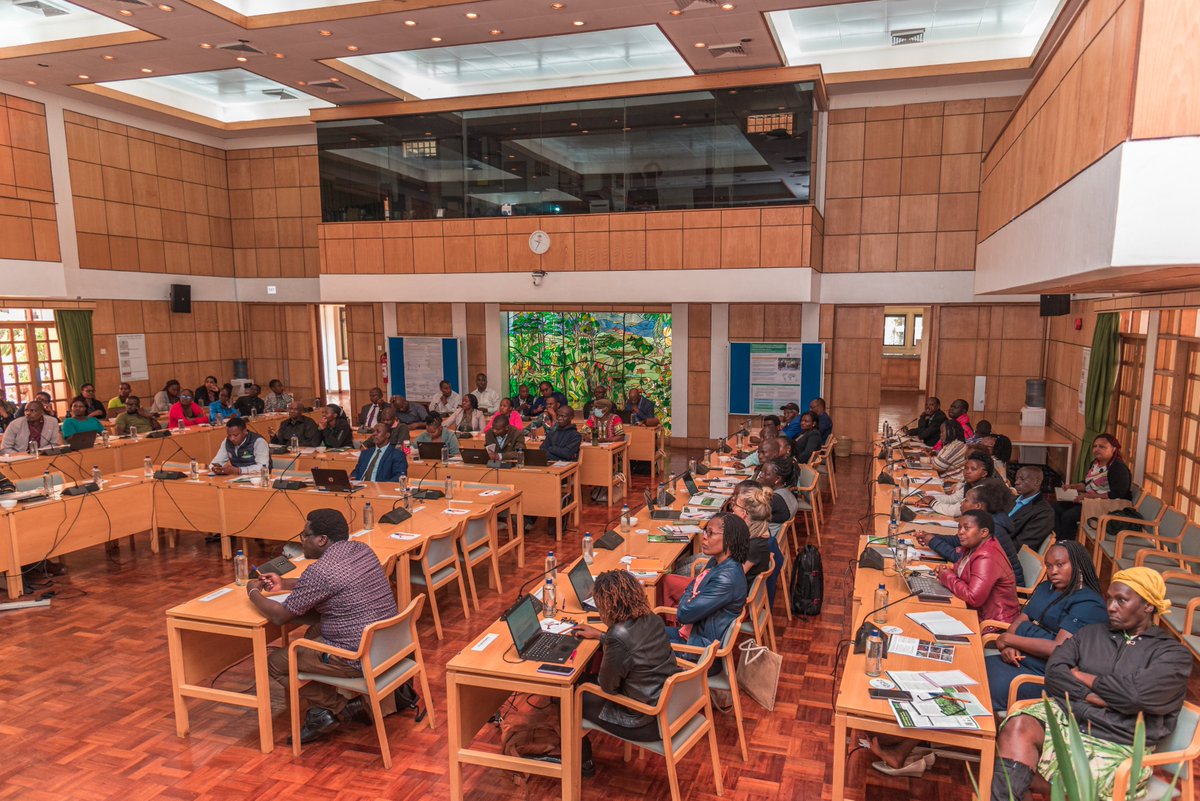 Beatrice Adoyo tweet media