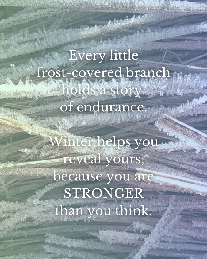 Forest_Days's tweet photo. ❄️Every little frost-covered branch holds a magnificent Story of Endurance.
And Winter helps you reveal yours, because you are much Stronger than you think.
.
#InnerStrength
#ResilientSpirit
#AdventureWithin https://t.co/d7Rjwb6OFk