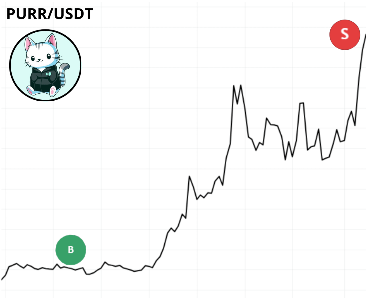 kabukistory's tweet photo. $PURR did 35x. $HYPE did 8x in a week.

Banger of 2024 = SOL memes
Banger of 2025 = HyperLiquid memes

Jump in before it's too late🧵 https://t.co/KhOpVar2Sw