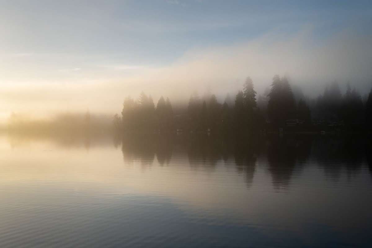 ryan_steele_mcg's tweet photo. Beautiful foggy morning… https://t.co/Xiwhxy6nde