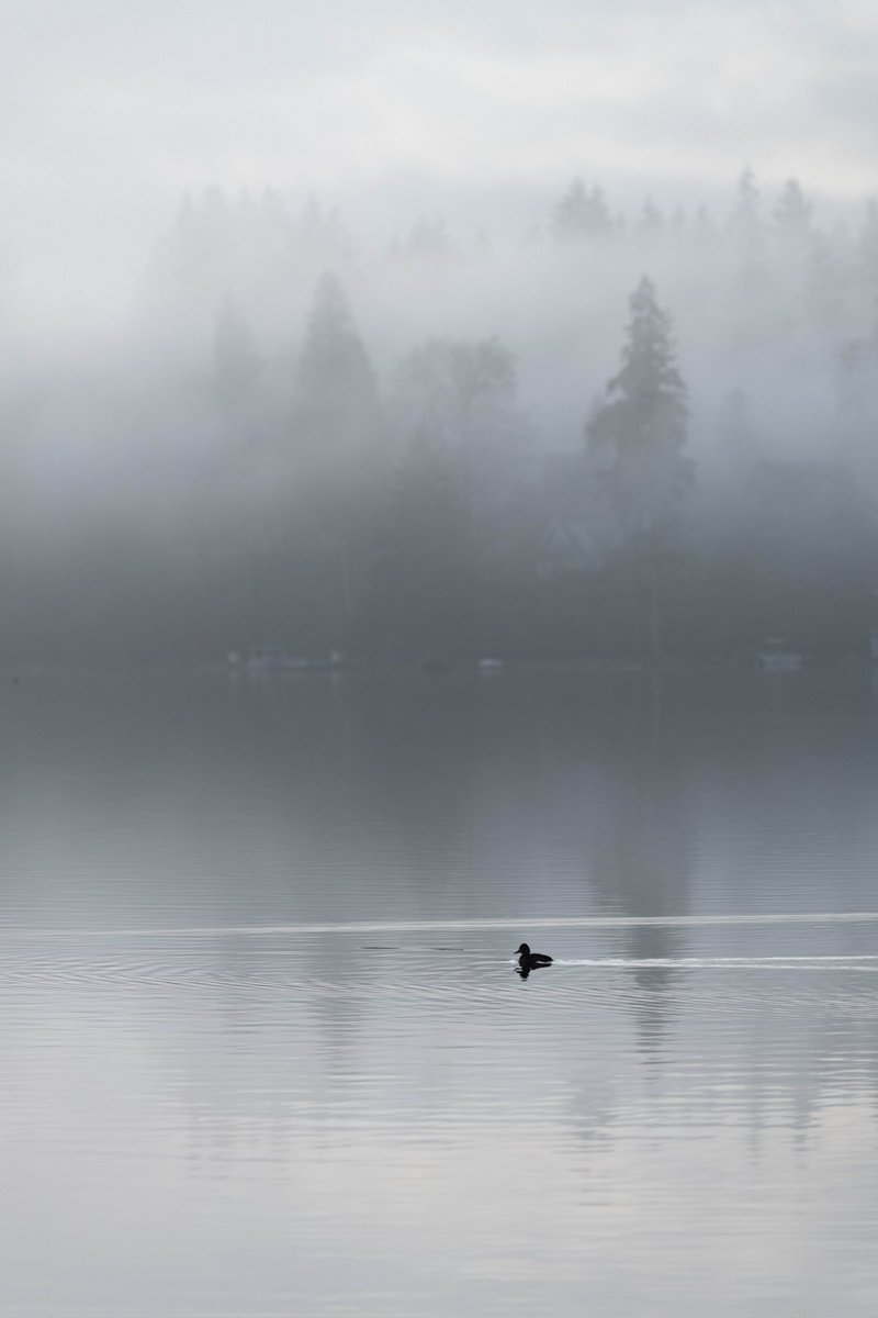 Beautiful foggy morning…