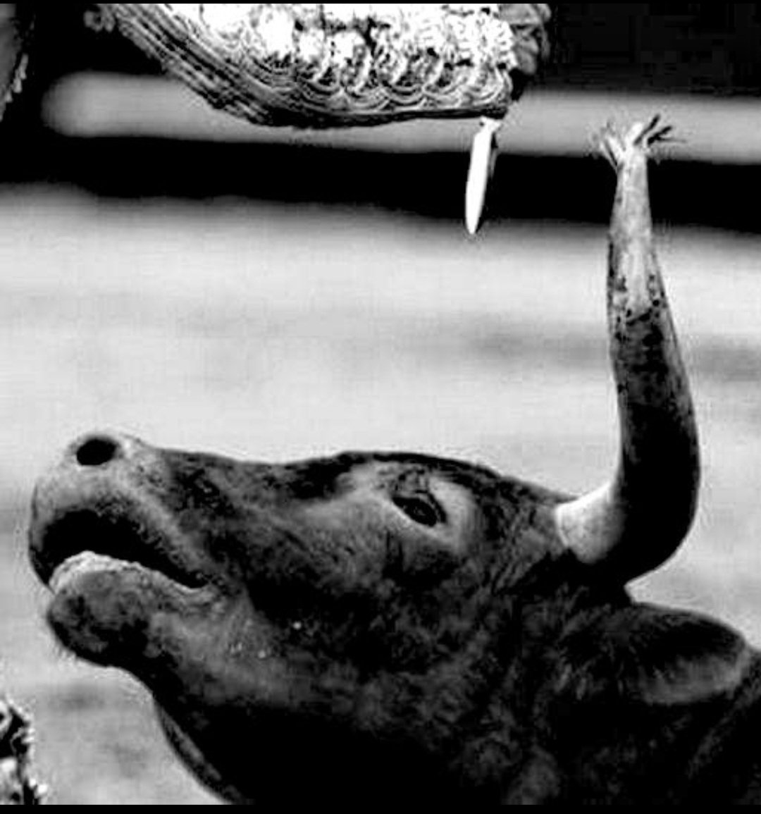 Jorju 🌱 tweet media