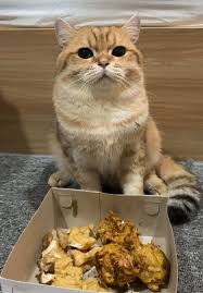 OohReallyEl's tweet photo. Semangat buat teman-teman aku yang masih berusaha di dunia vtuber dengan keadaan yang agak-agak sekarang. aku masih suka liat di balik bayang-bayang kalian kok, sambil makan gorengan tapi. https://t.co/dhCtYLeSkv
