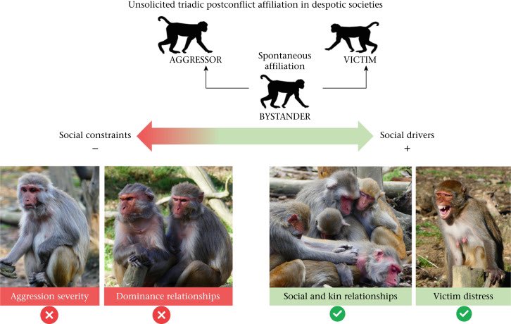 Luca Pedruzzi tweet media