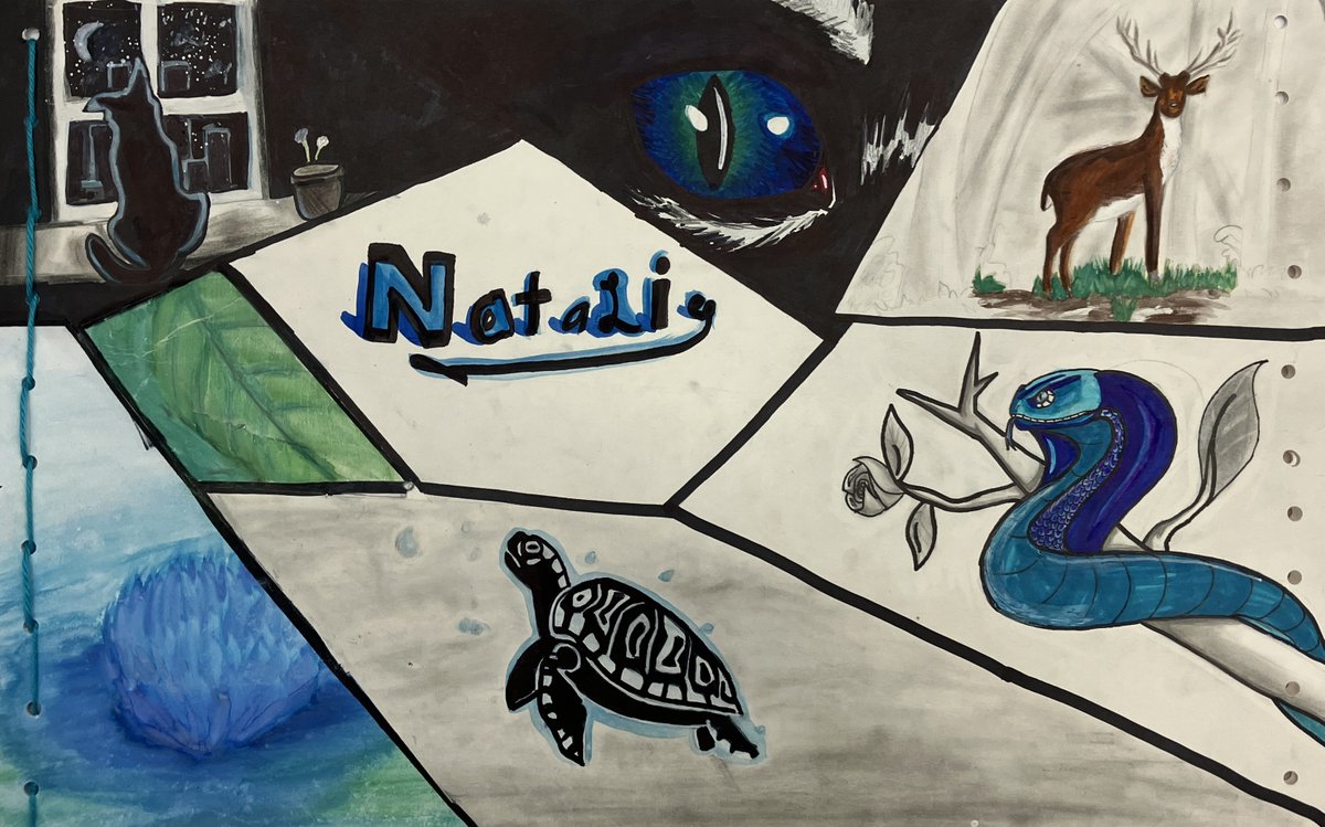 MrsR_Art's tweet photo. Check out these awesome Art 1 Portfolios from the start of the year. We used this as a chance to preview the Elements of Art. #FalconArt #MiddleSchoolArt #ElementsofArt @lakedallasms https://t.co/zjYkQBTwnQ