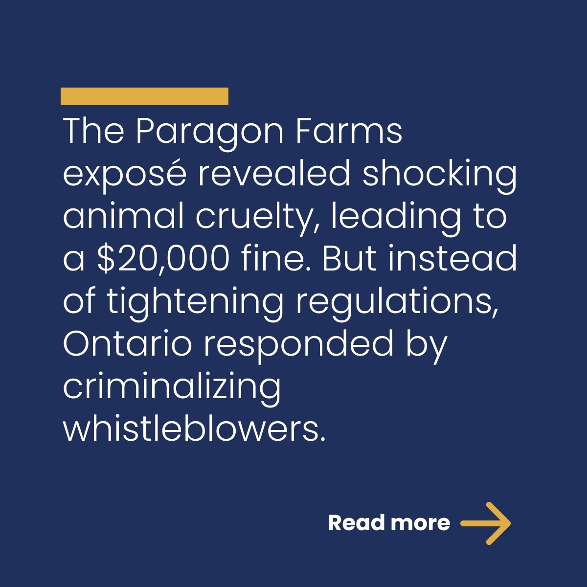Ag-gag laws in Canada obscure factory farm dangers. From health risks to animal cruelty, what are we not seeing? Learn how these laws affect transparency and trust. . Full article: ow.ly/uBJK50UknC1