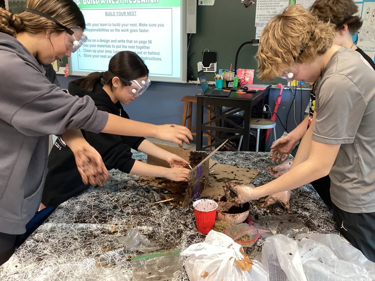 Students were challenged to build bird nests that met specific criteria. This activity modeled how animals use behaviors to increase reproduction and offspring success while fostering collaboration and problem-solving. #cjhdragons