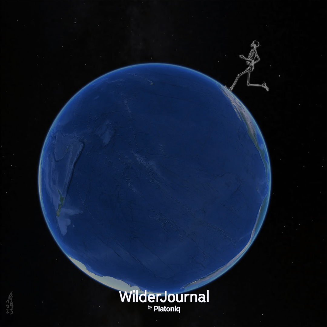 @platoniq@mastodon.social tweet media