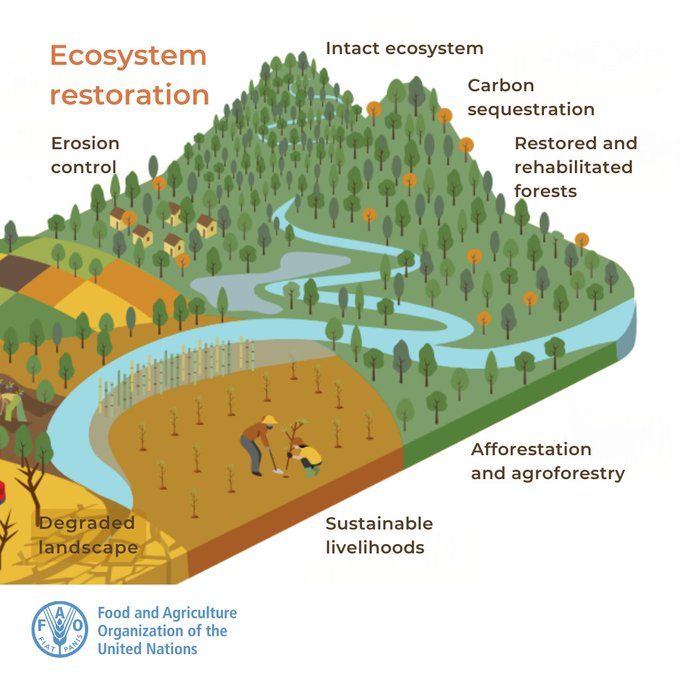 UN Biodiversity (@unbiodiversity) on Twitter photo Forest and landscape restoration is key to addressing #ClimateChange by
🌲 Capturing carbon
🟢 Increasing climate resilience &
⬇️ Reducing disaster risks
See this <a href="/theGCF/">Green Climate Fund</a> project in Kyrgyzstan
👉fao.org/countryprofile…
via <a href="/FAOclimate/">FAO Climate Change & Biodiversity</a> Forest and landscape restoration is key to addressing #ClimateChange by
🌲 Capturing carbon
🟢 Increasing climate resilience &
⬇️ Reducing disaster risks
See this <a href="/theGCF/">Green Climate Fund</a> project in Kyrgyzstan
👉fao.org/countryprofile…
via <a href="/FAOclimate/">FAO Climate Change & Biodiversity</a>